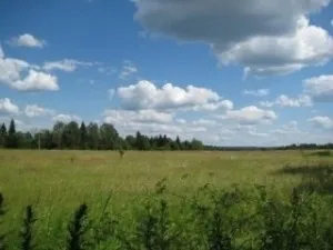Продаж землі в селі власником - як не помилитися і купити гарну ділянку (селі) Продаж землі в селі власником - як не помилитися і купити гарну ділянку