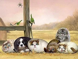 Приплющена кішки henry cats - ярмарок майстрів - ручна робота, handmade (приплющена кішки henry cats) Приплющена кішки henry cats - ярмарок майстрів - ручна робота, handmade