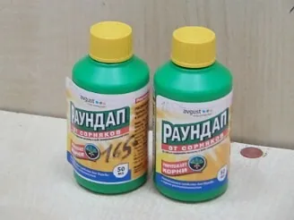 Застосування раундапа від бур'янів (застосування) Застосування раундапа від бур'янів