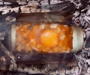 Пристосування для збору вишні (diy) (мода) Пристосування для збору вишні (diy)