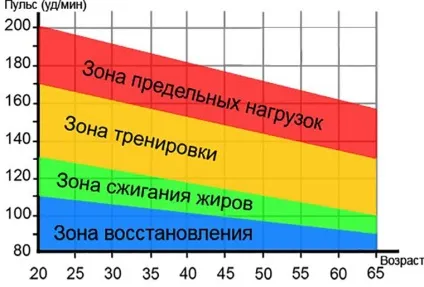 При якому пульсі спалюється жир (якому пульсі спалюється) При якому пульсі спалюється жир