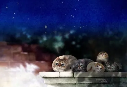 Приплющена кішки henry cats - ярмарок майстрів - ручна робота, handmade (коти) Приплющена кішки henry cats - ярмарок майстрів - ручна робота, handmade