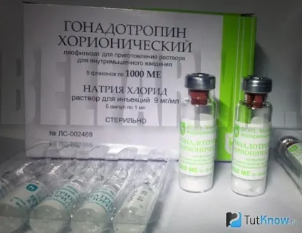 Застосування лХГ в бодібілдингу (гонадотропін) Застосування лХГ в бодібілдингу