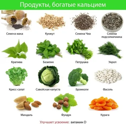 Продукти що містять кальцій таблиця, корисні властивості (продукти містять кальцій таблиця) Продукти що містять кальцій таблиця, корисні властивості