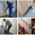 Профілактика від клопів в квартирі - як захиститися самостійно (клопів) Профілактика від клопів в квартирі - як захиститися самостійно