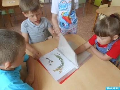 Проект «світ квітів»