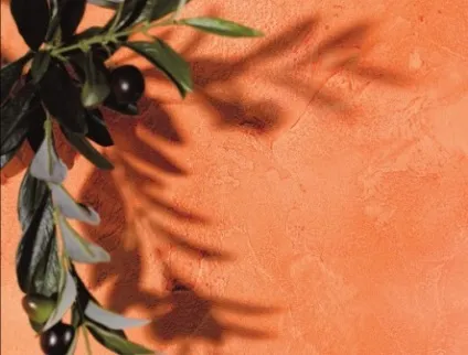 Provence - paritet decor
