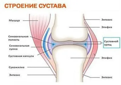 Реактивний поліартрит лікування, симптоми і причини (симптоми) Реактивний поліартрит лікування, симптоми і причини