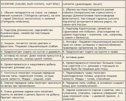 Відмінності коника і сарани (кобили), головний фермерський портал - все про бізнес в сільському (відмінності) Відмінності коника і сарани (кобили), головний фермерський портал - все про бізнес в сільському