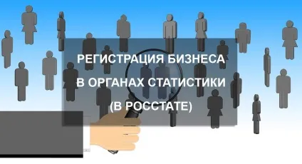 Реєстрація ооо і ип в органах статистики (в Росстат) (статистики) Реєстрація ооо і ип в органах статистики (в Росстат)