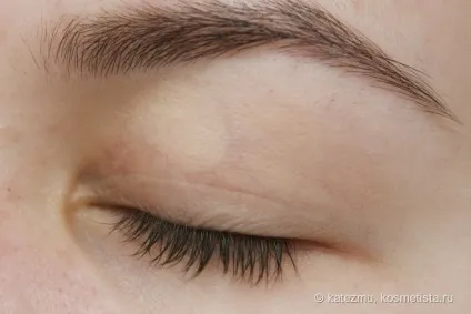 Relouis pro eyeshadow