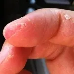Малюнки щуки олівцем як намалювати рибу поетапно, а ви не знали (олівцем) Малюнки щуки олівцем як намалювати рибу поетапно, а ви не знали