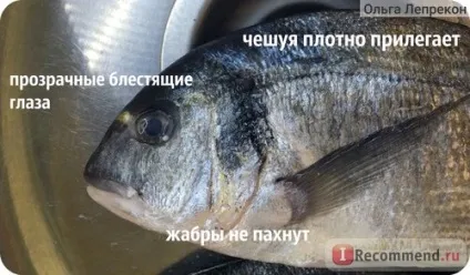 Риба свіжа дорадо - «як приготувати дорадо легко і швидко невеличкий секрет середземноморської