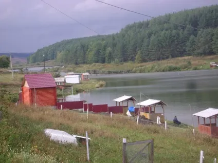 Риболовля на екологічно чистому ставку - село трійця, Александріяая область, в ставку живуть короп, (окунь плотва.) Риболовля на екологічно чистому ставку - село трійця, Александріяая область, в ставку живуть короп,