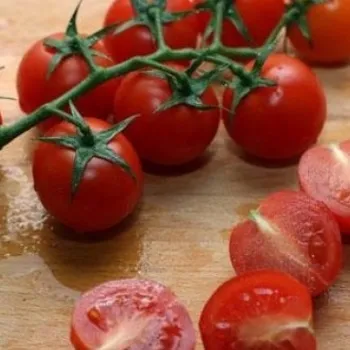 Салат з кукурудзою і сиром, topsalads (сиром) Салат з кукурудзою і сиром, topsalads