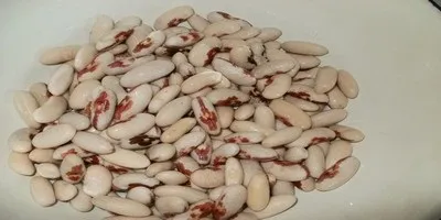 Салат з квасолі з корейською морквою і куркою покроковий рецепт