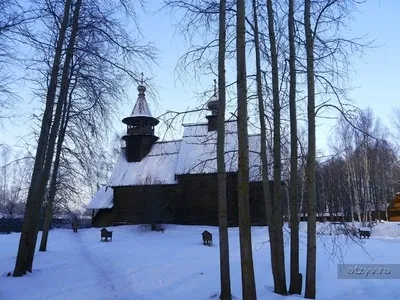 Романов ліс і Лозова мимохідь (і) Романов ліс і Лозова мимохідь