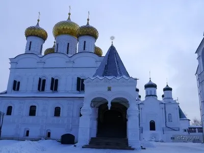 Романов ліс і Лозова мимохідь (іра38) Романов ліс і Лозова мимохідь