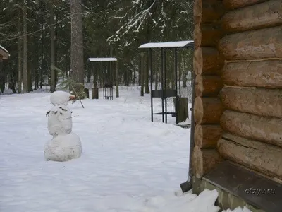 Романов ліс і Лозова мимохідь (мимохідь) Романов ліс і Лозова мимохідь