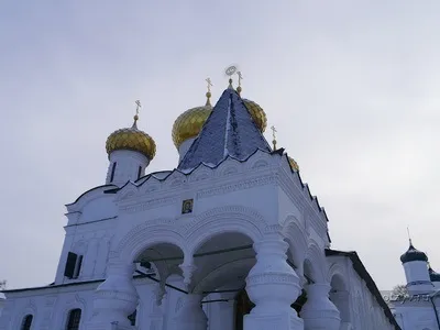 Романов ліс і Лозова мимохідь (бідняка зовсім маленький майже) Романов ліс і Лозова мимохідь