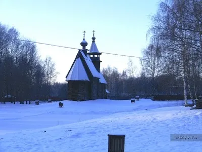 Романов ліс і Лозова мимохідь (бідняка зовсім маленький майже) Романов ліс і Лозова мимохідь