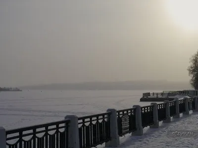 Романов ліс і Лозова мимохідь (розповідь) Романов ліс і Лозова мимохідь