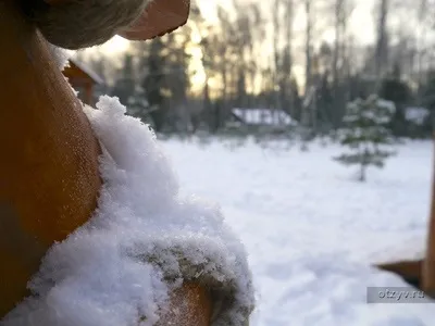 Романов ліс і Лозова мимохідь (іра38) Романов ліс і Лозова мимохідь