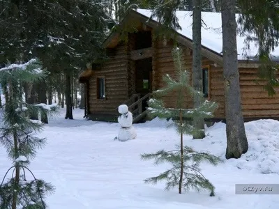 Романов ліс і Лозова мимохідь (і) Романов ліс і Лозова мимохідь