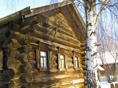 Романов ліс і Лозова мимохідь (розповідь) Романов ліс і Лозова мимохідь