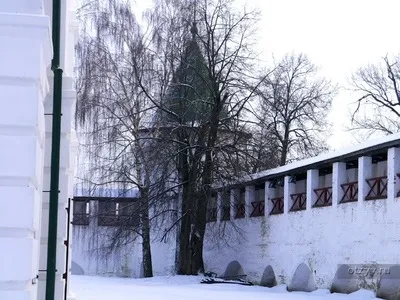 Романов ліс і Лозова мимохідь (романів) Романов ліс і Лозова мимохідь