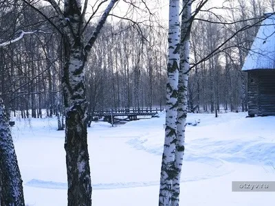 Романов ліс і Лозова мимохідь (і) Романов ліс і Лозова мимохідь