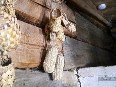 Романов ліс і Лозова мимохідь (розповіді про відпочинок) Романов ліс і Лозова мимохідь