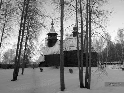 Романов ліс і Лозова мимохідь (бідняка зовсім маленький майже) Романов ліс і Лозова мимохідь