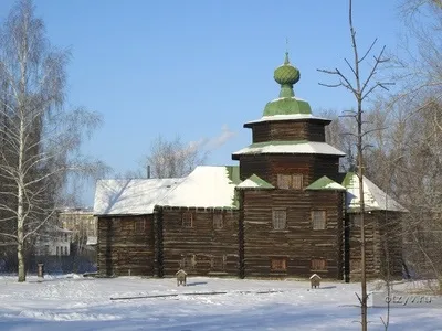 Романов ліс і Лозова мимохідь (розповіді мандрівників) Романов ліс і Лозова мимохідь