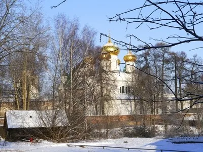 Романов ліс і Лозова мимохідь (цілком просторий зручний) Романов ліс і Лозова мимохідь