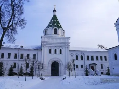 Романов ліс і Лозова мимохідь (бідняка зовсім маленький) Романов ліс і Лозова мимохідь