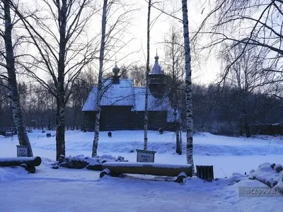 Романов ліс і Лозова мимохідь (ліс) Романов ліс і Лозова мимохідь