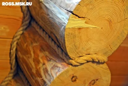Романов ліс - екоготель під Костромою