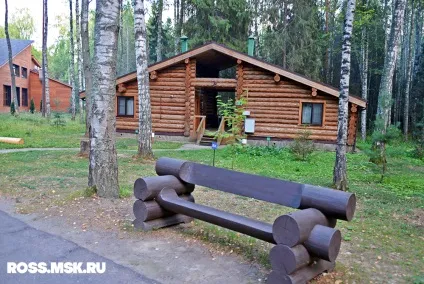 Романов ліс - екоготель під Костромою