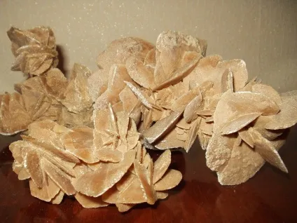 Роза цукри
