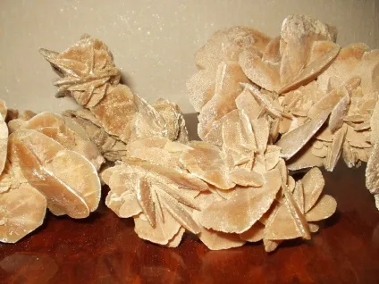 Роза цукри