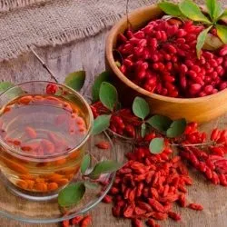 Як зробити настоянку з глоду, журавлини, смородини, брусниці і шипшини на горілці, спирті або (брусниці) Як зробити настоянку з глоду, журавлини, смородини, брусниці і шипшини на горілці, спирті або