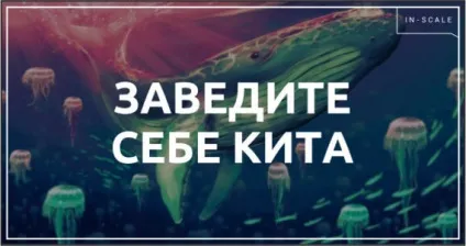 Як зробити маркетинг-кит правильно і самому (обробляє персональні дані) Як зробити маркетинг-кит правильно і самому