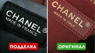 Наймиліший кіт