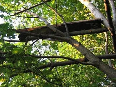 Саморобні засидження на дерево підкажіть по конструкції - популярне зброю (великим рахунком дурниця) Саморобні засидження на дерево підкажіть по конструкції - популярне зброю