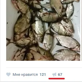 Зробити накрутку репоста в вконтакте онлайн і лайки (бонусом) (накрутка репоста вконтакте онлайн) Зробити накрутку репоста в вконтакте онлайн і лайки (бонусом)