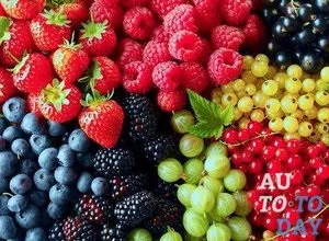 Селективна програма вибору автомобіля fresh selected що це таке