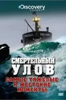 Серіал маша в законі дивитися онлайн в хорошій якості (сезон сезон серія) Серіал маша в законі дивитися онлайн в хорошій якості