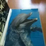 Семінари по наливних 3d полам (вищепереліченому списку знайшли) Семінари по наливних 3d полам