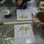 Семінари по наливних 3d полам (семінари наливні підлоги 3d підлоги навчання в вашому місті) Семінари по наливних 3d полам